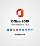 Microsoft-Office-2019-pro-plus-eGoodies